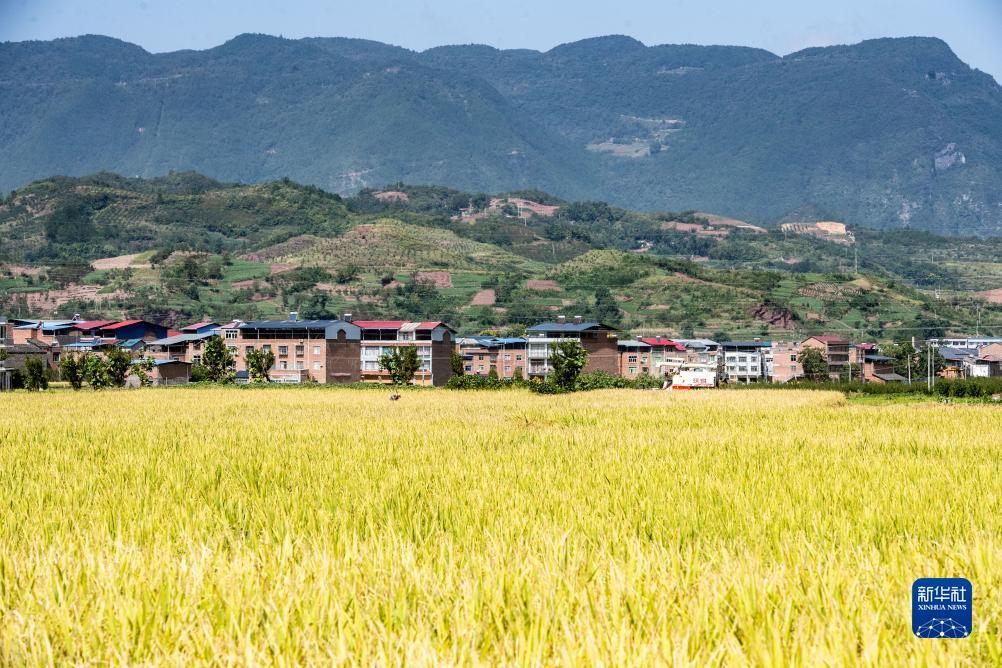澳洲顺风